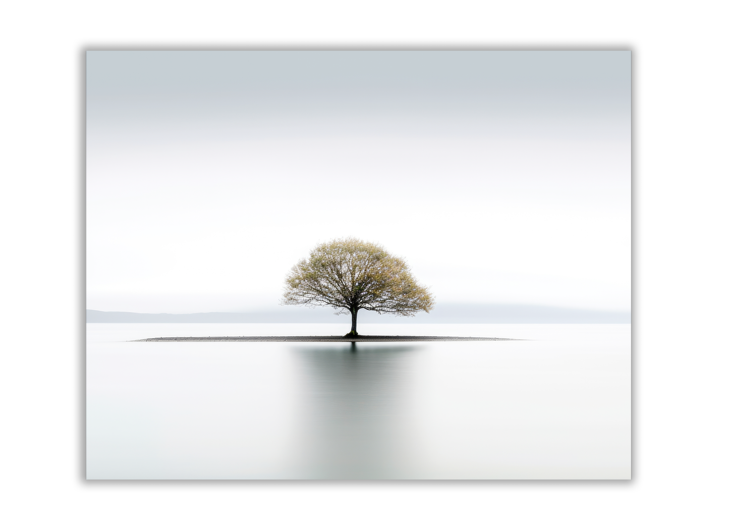 Solitude Wall Art 48in x 36in Canvas Print