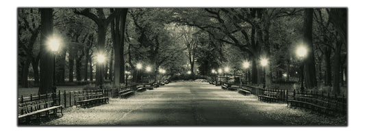 wall art Manhattan-Central Park