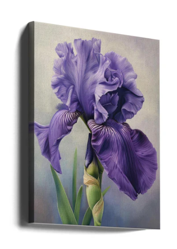 Purple Flower 24" x 36" Wall Canvas Fine Art Varnished