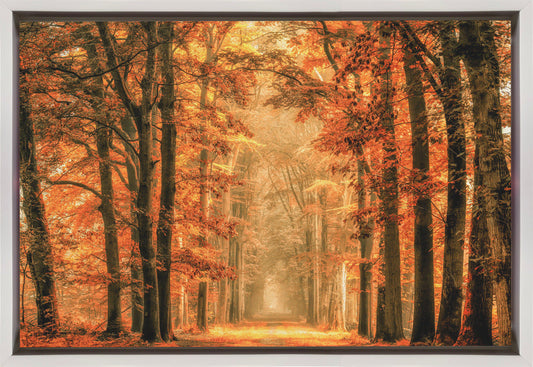 Exit the Portal Wall Artwork In Black Floating Frame