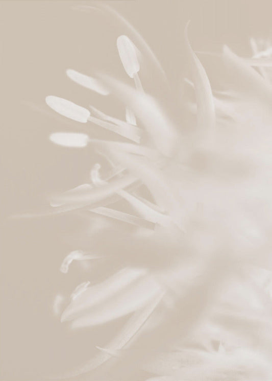 Flower Beige_1 by Studio III — artwork front view