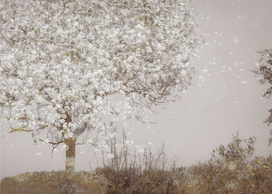 Fruit tree by Nel Talen — artwork front view