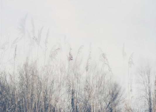 Landscape of reeds and grass by Imaginative — artwork front view