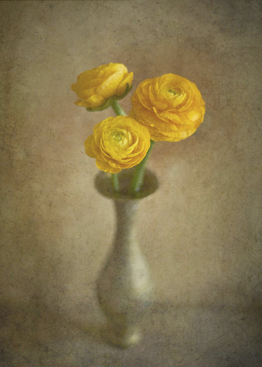 Yellow buttercups Wall Artwork In Black Floating Frame