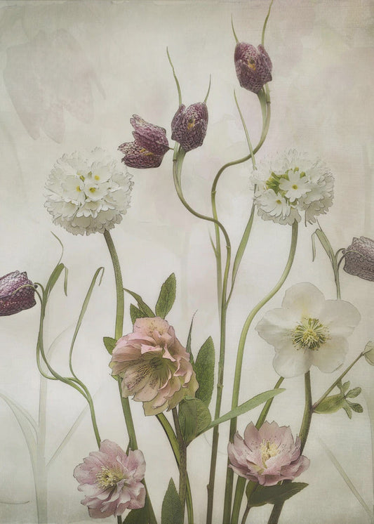 Spring Garden Wall Artwork In Black Floating Frame