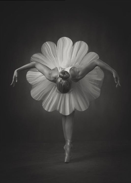 Floral Ballet Wall Artwork In Black Floating Frame