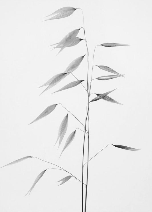 Sharpness of the nature by Thierry Lagandré (Transgressed Light) — artwork front view