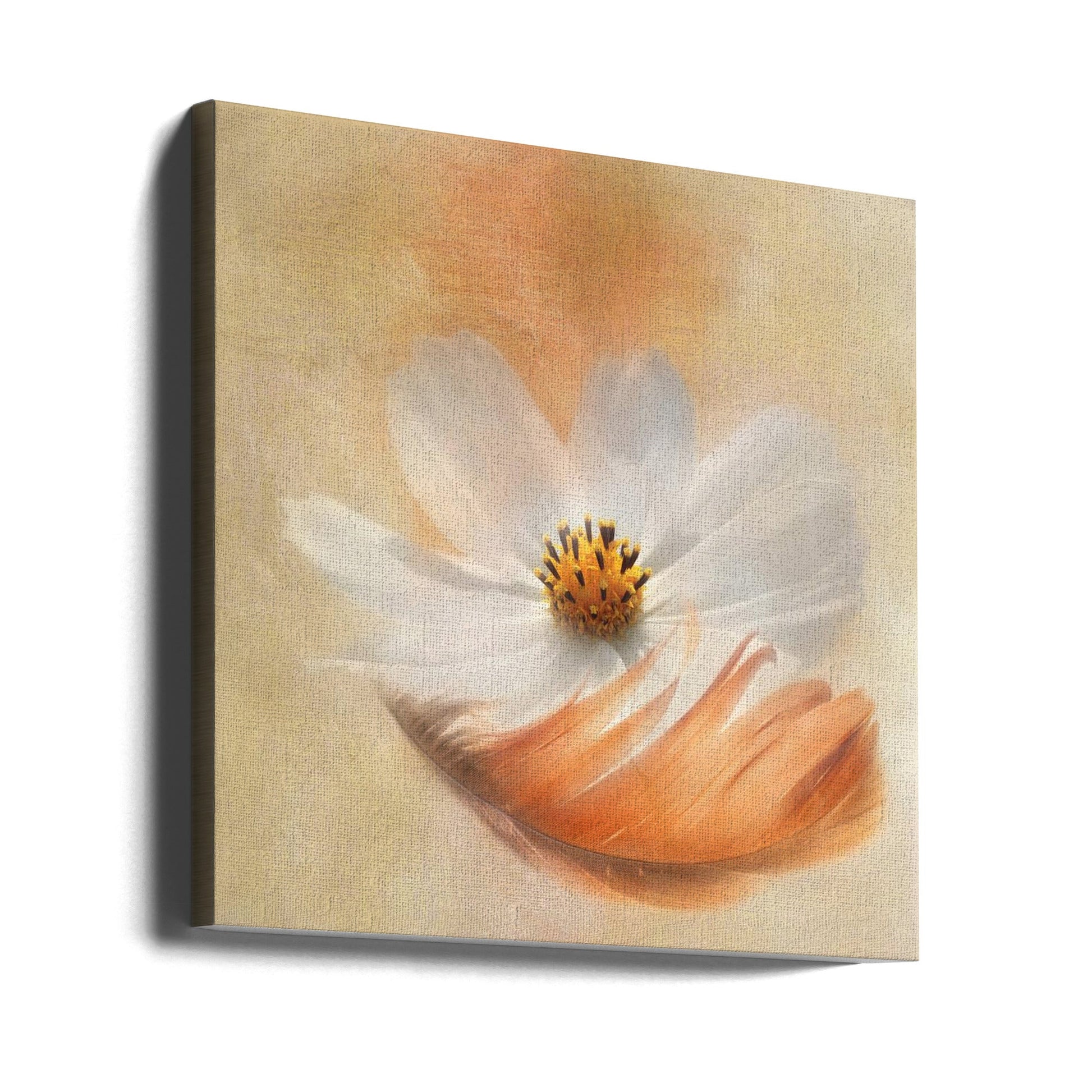  Light as a Feather Wall Artwork 0