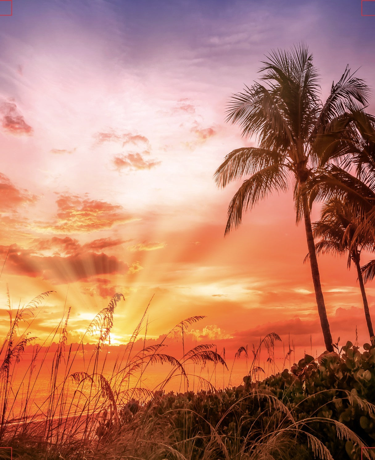 Tropical Sunset 16" x 20" Varnished Canvas Print