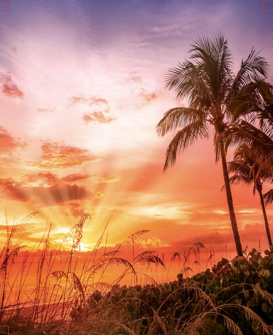Tropical Sunset 16" x 20" Varnished Canvas Print