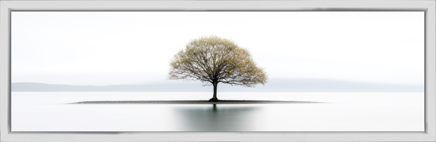 Set of 2 34X11 Framed Canvases
