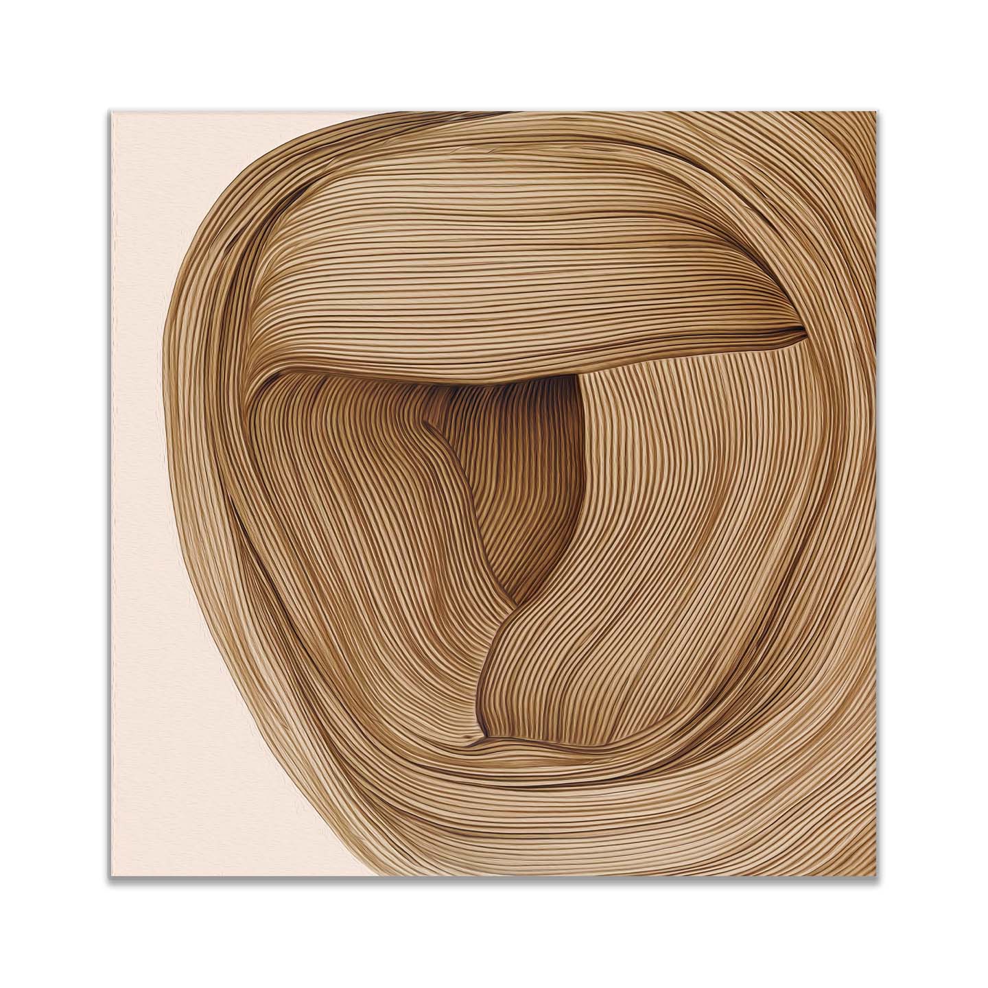  Wall art Drawing tan hues n black floating frame