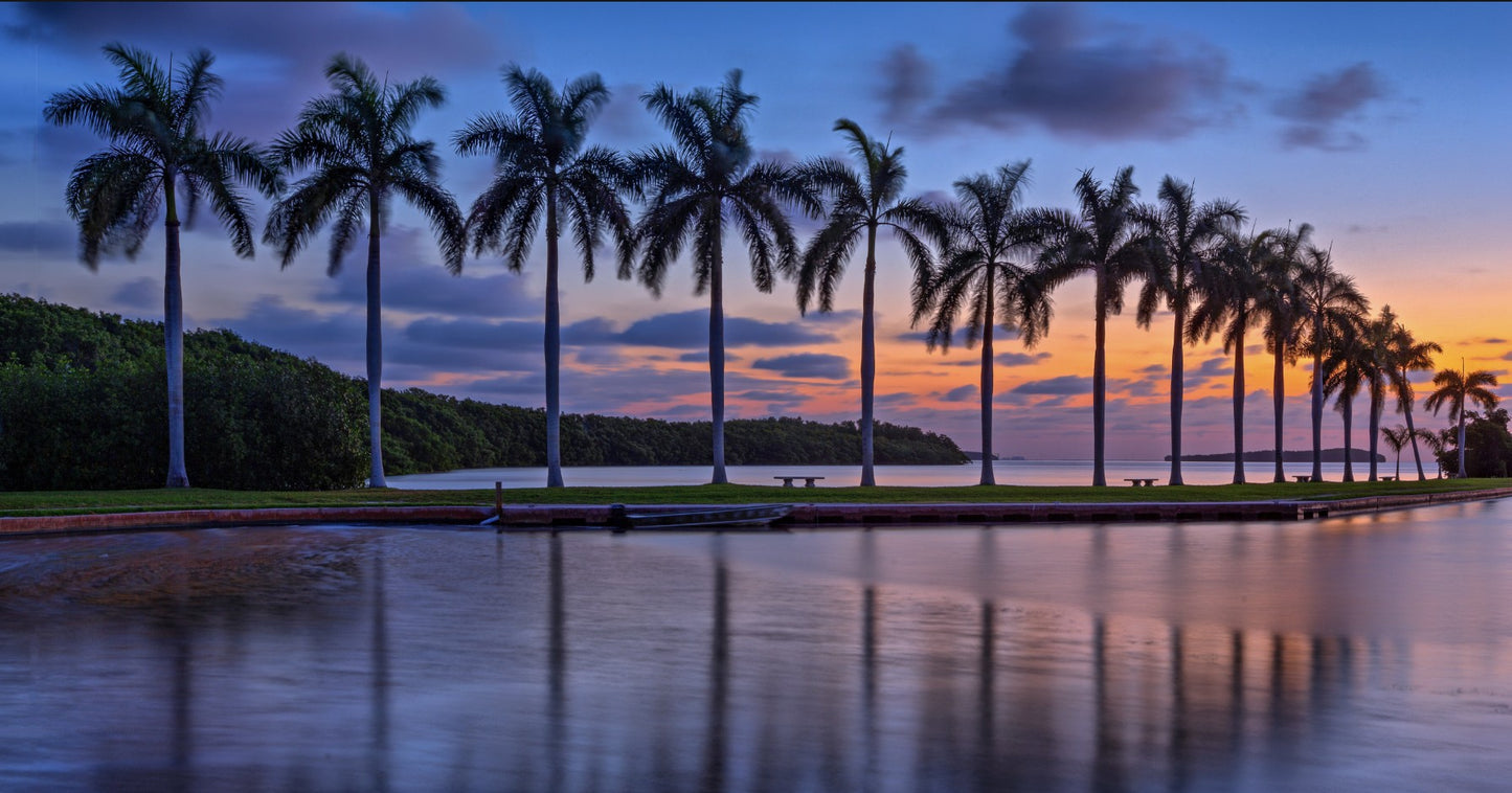 Sunrise Coconut Cove 48 in x 24 in- Varnished Print Canvas