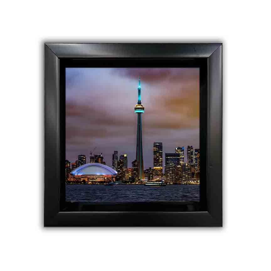 Set of 12 Framed Canvases