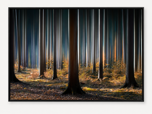 Mystic Wood Wall Art by Carsten Meyerdierks