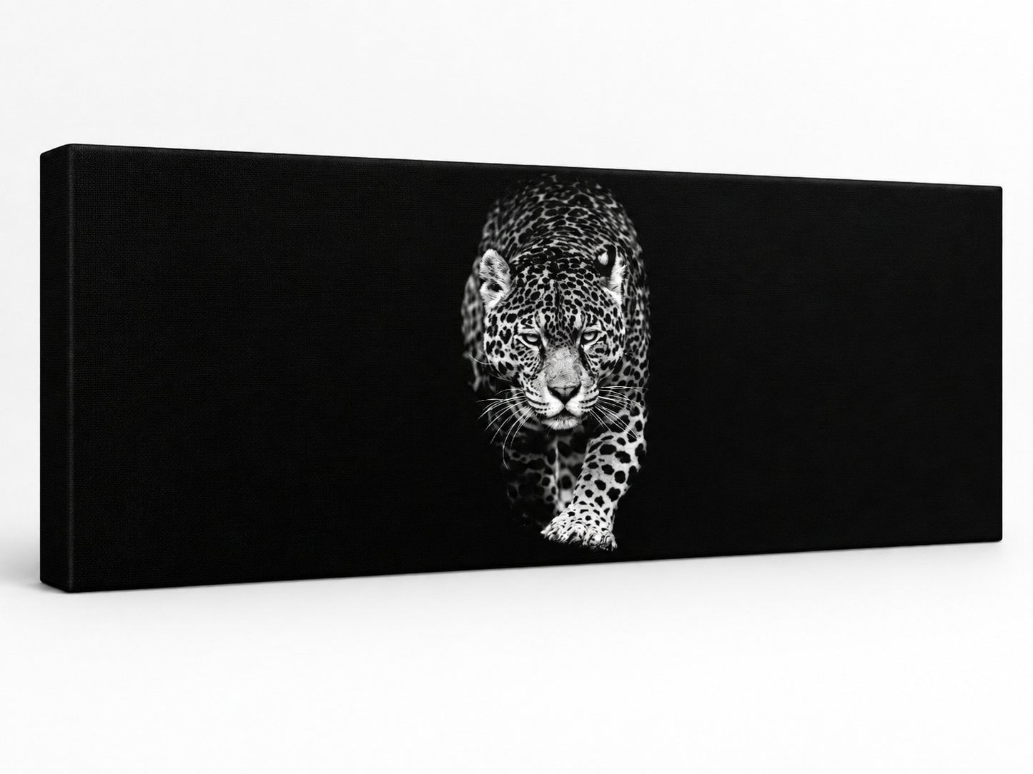 Leopard in Black & White | Panoramic Canvas Print | Wildlife Wall Art