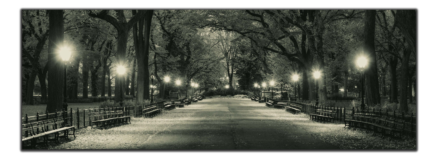 wall art Manhattan-Central Park