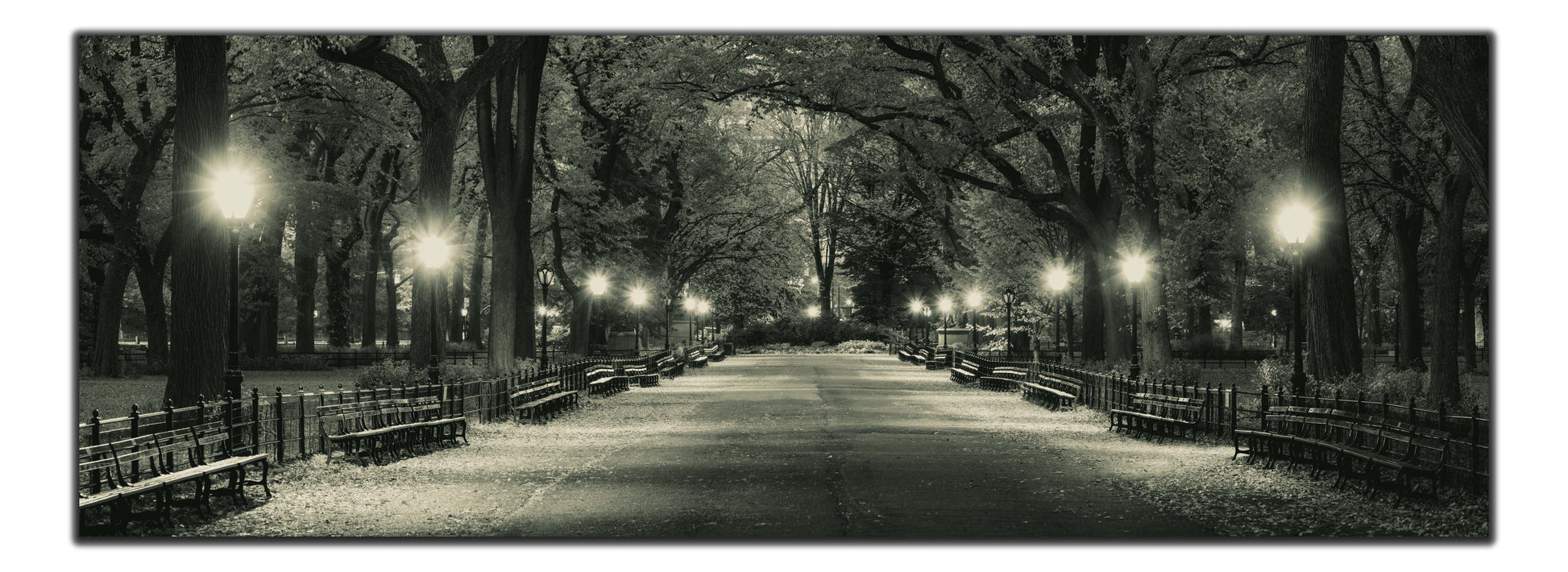 wall art Manhattan-Central Park