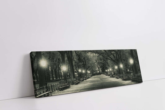 wall Art Manhattan-Central Park