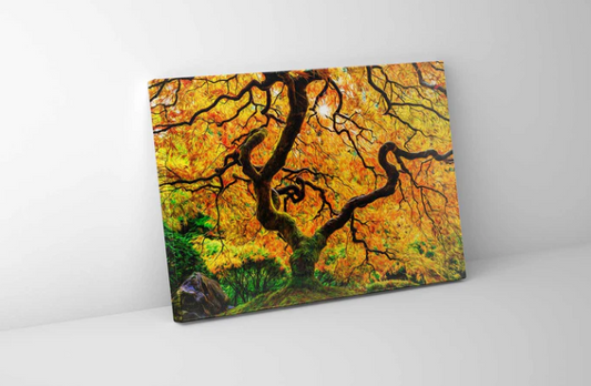 Fall 14 " x 11 " Varnished wall canvas