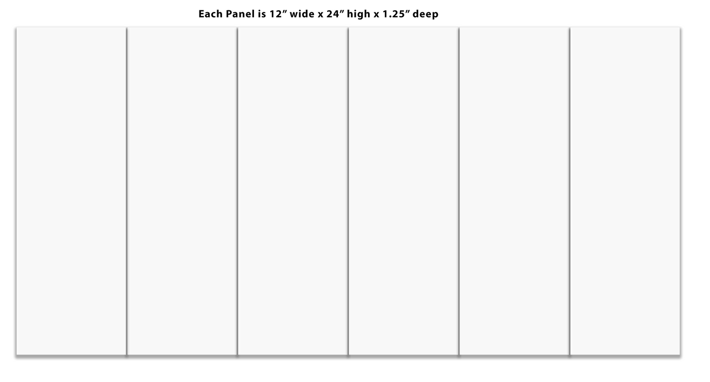 Split Canvas Prints 6 Panel 12" x 24"