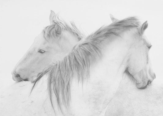 Affection 72''x 36'' — artwork front view