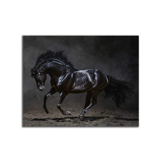 Black Stallion — artwork front view