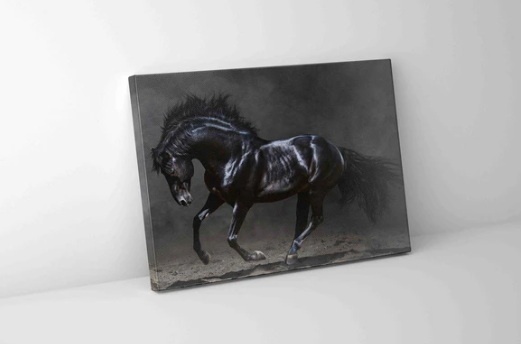 Black Stallion — canvas leaning against a wall