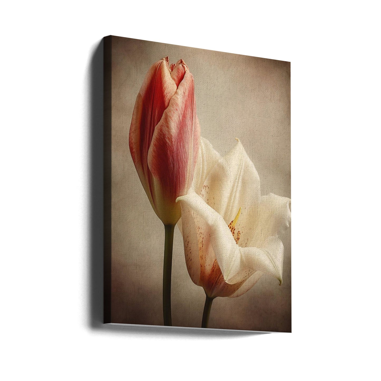  Vintage Flowers 3 Wall Artwork Gallery Wrapped (Ready to Hang)