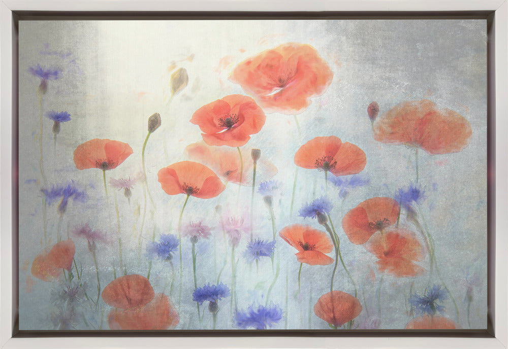  Poppy Wall Artwork In Black Floating Frame