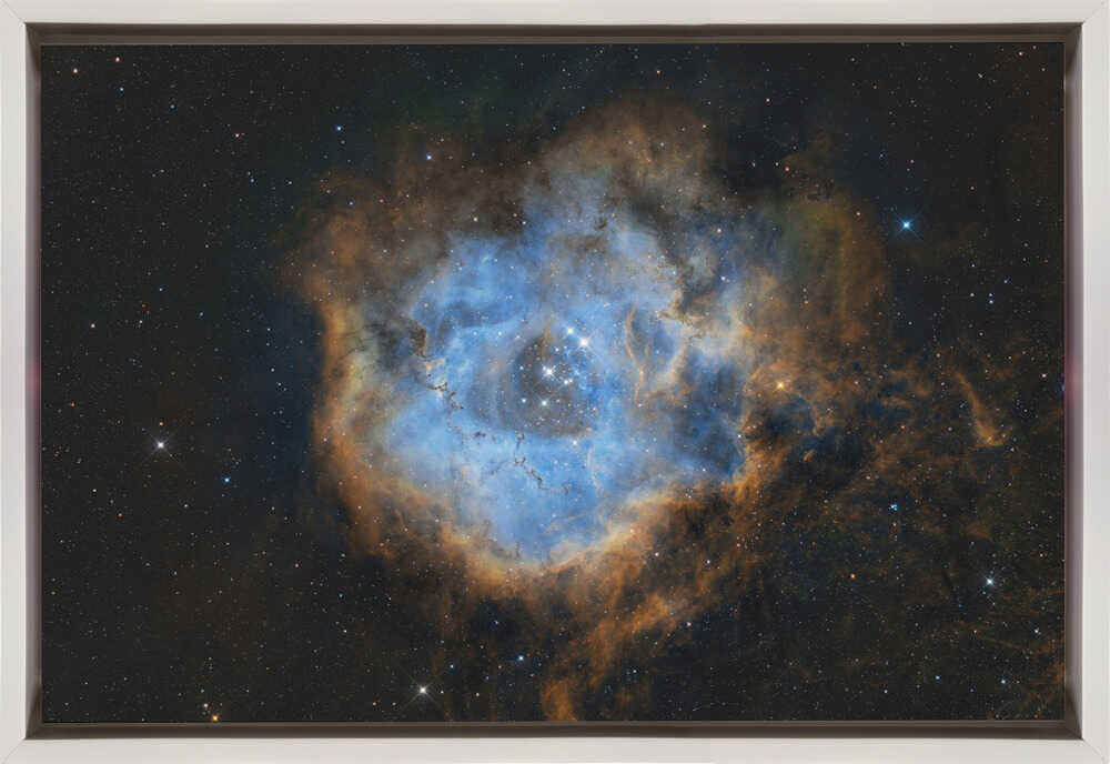 Wall art Rosette