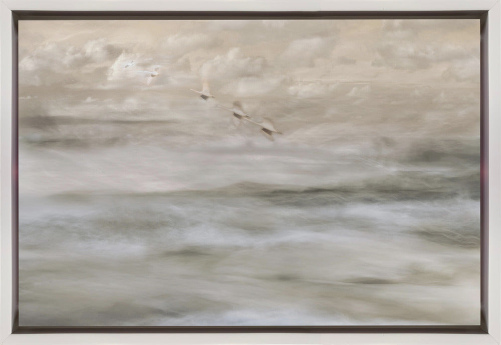 Wall art Swans over sea