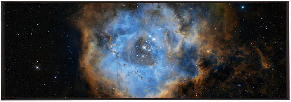 Wall art Rosette
