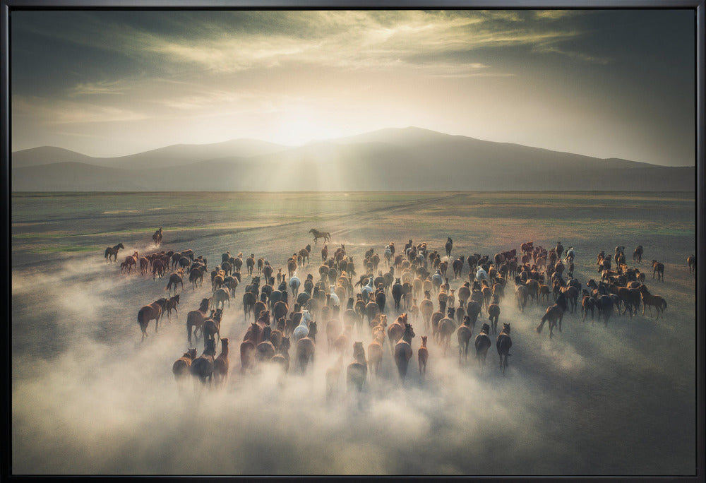 Wild Horses Wall Artwork Gallery Wrapped (Ready to Hang)