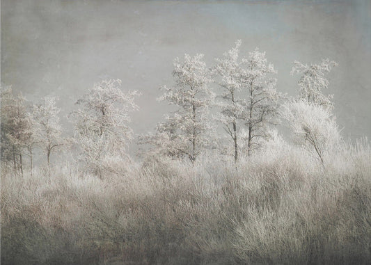 Cold morning by Nel Talen — artwork front view