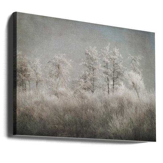 Cold morning by Nel Talen — gallery-wrapped canvas angled view