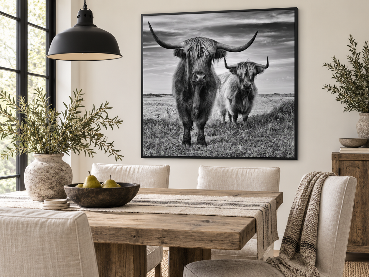 Highland Cows — black-framed canvas above a dining table