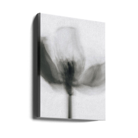 Mono Tulip by Magda Izzard — gallery-wrapped canvas angled view