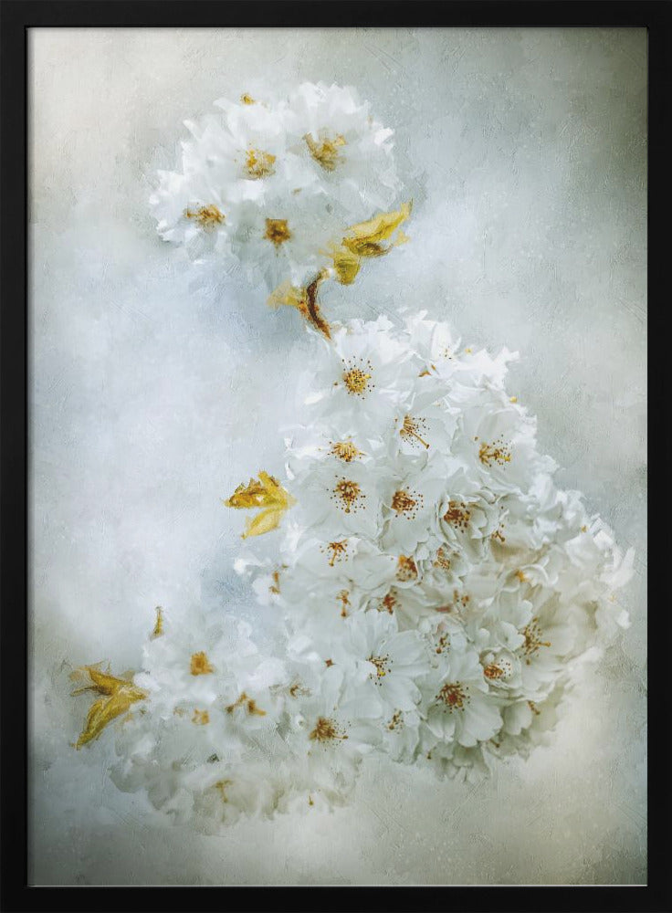  Cherry blossoms Wall Artwork Gallery Wrapped (Ready to Hang)