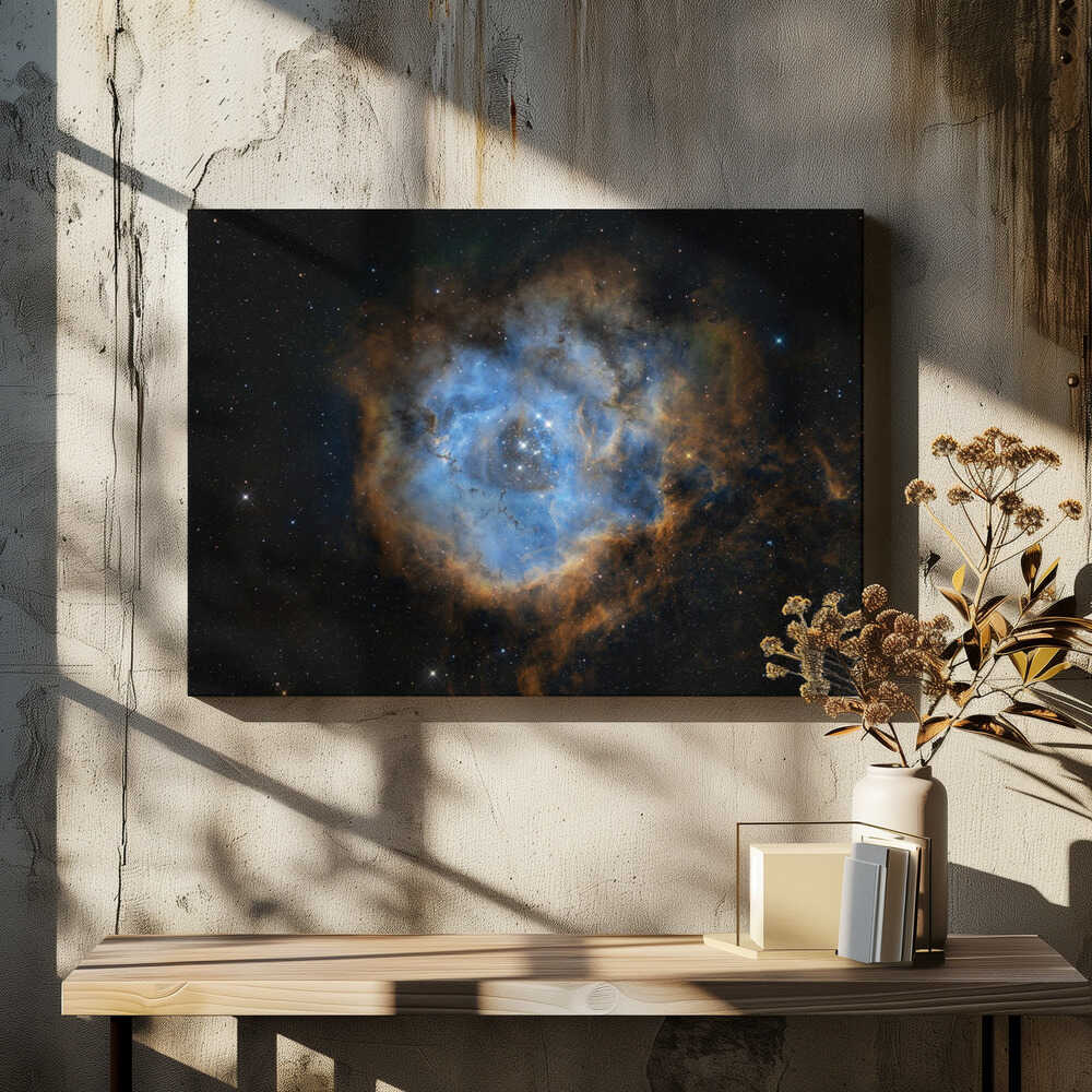 Wall art Rosette