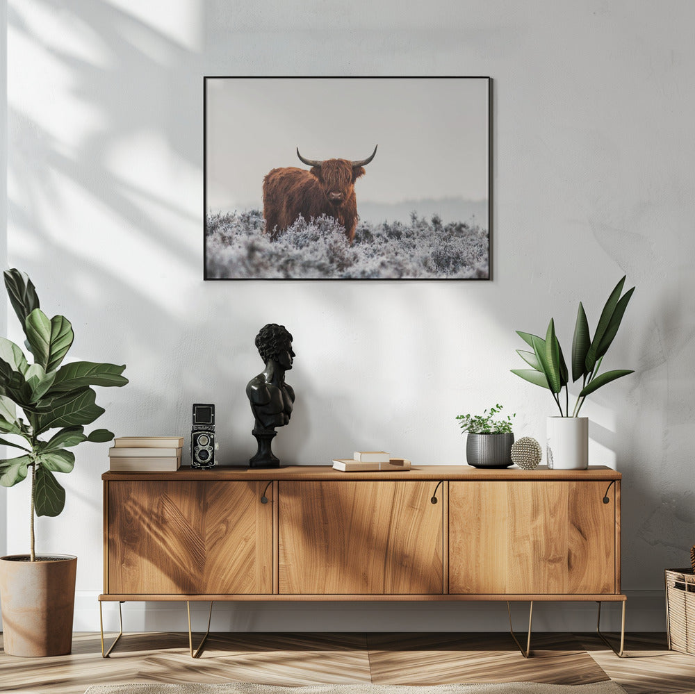  Highlander Wall Artwork In White Floating Frame