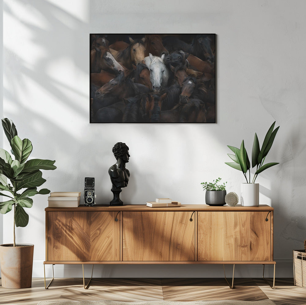 majestic white horse among a herd whit black frame