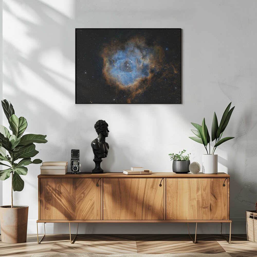 Wall art Rosette