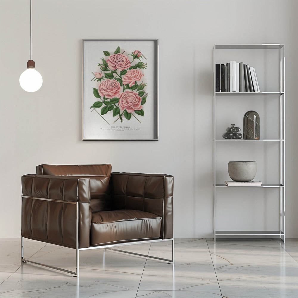  Pink Rose, Gem of the Prairie Lithograph Wall Artwork 0