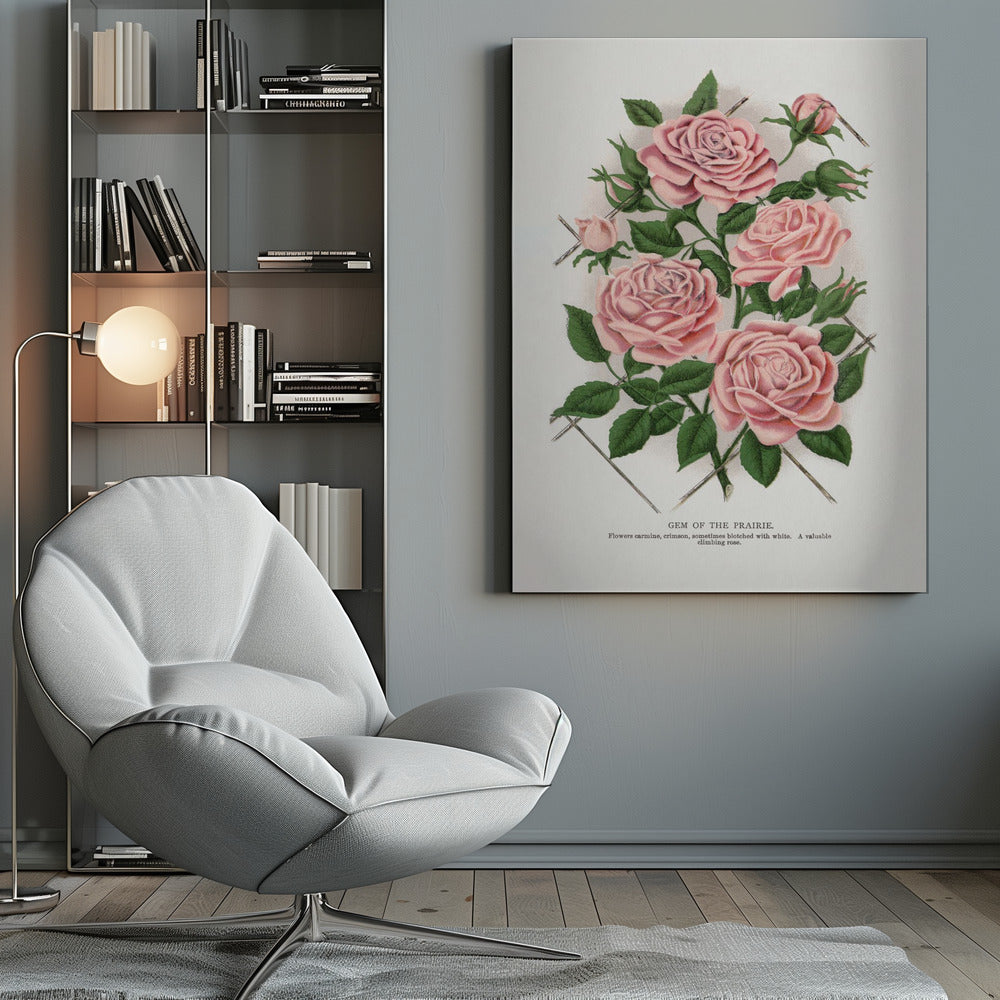  Pink Rose, Gem of the Prairie Lithograph Wall Artwork 0