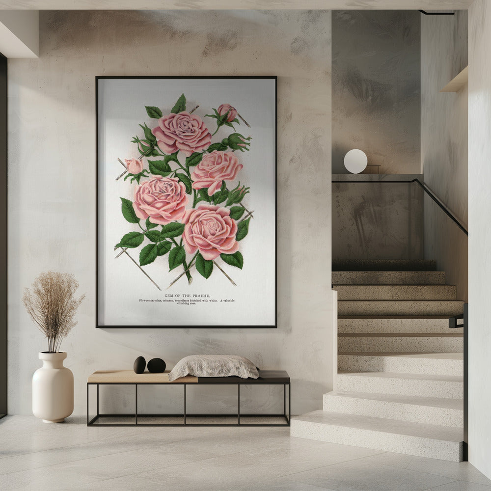  Pink Rose, Gem of the Prairie Lithograph Wall Artwork 0