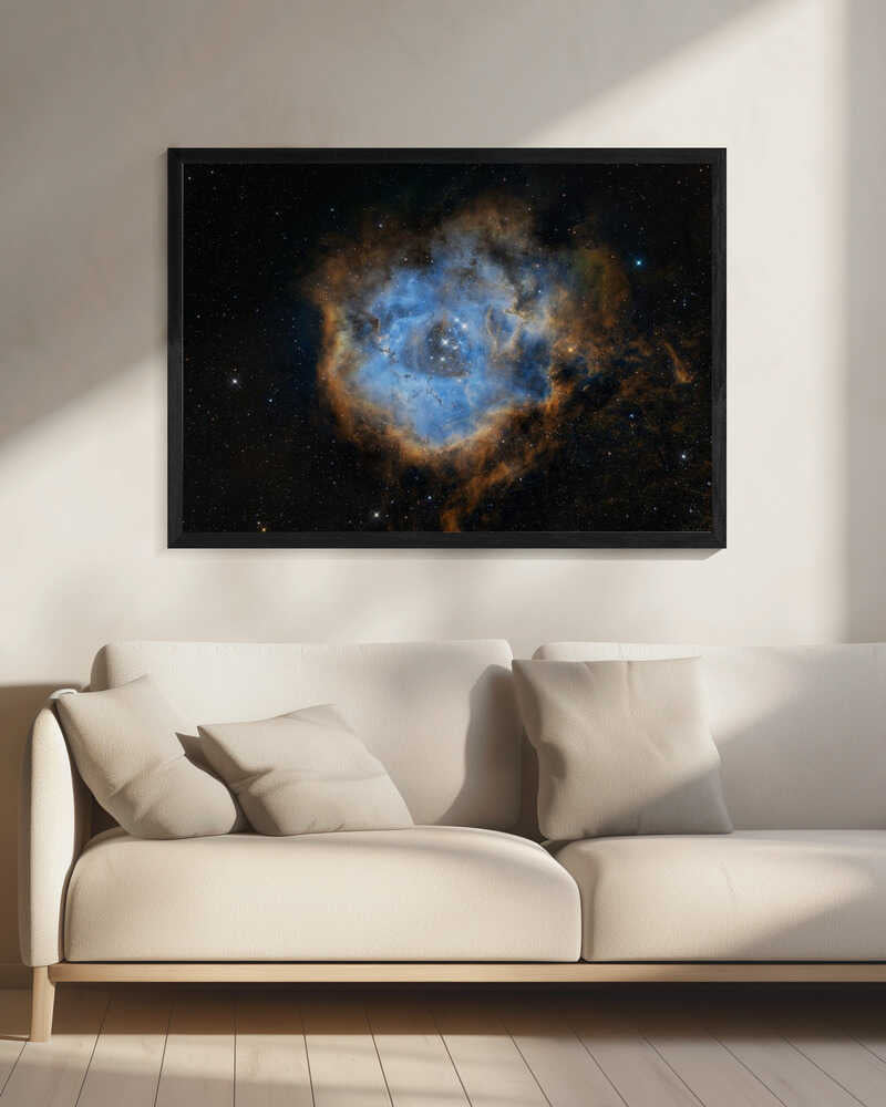 Wall art Rosette