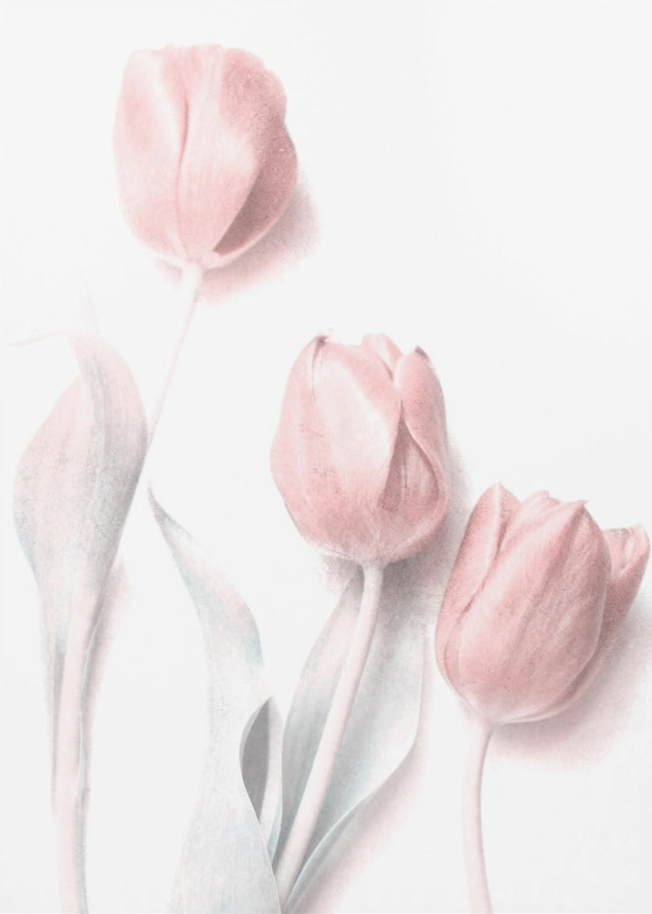  Sweet Pink Flower Wall Artwork Gallery Wrapped (Ready to Hang)