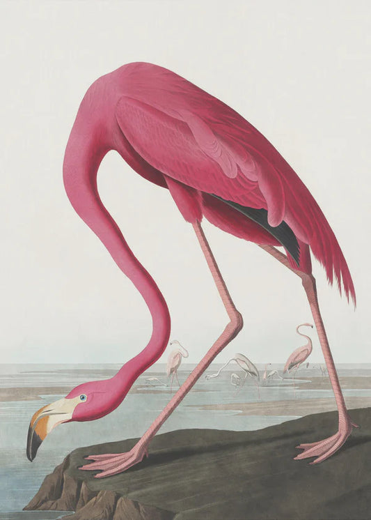 Flamingo at sea 24"x 36" Varnished Canvas Print Wall Art