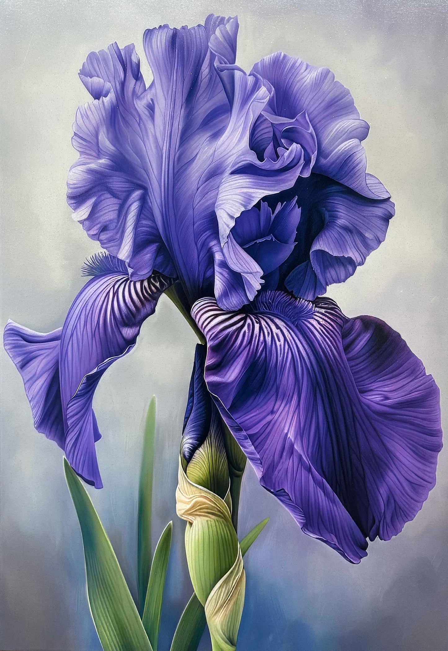 Purple Flower 24" x 36" Wall Canvas Fine Art Varnished